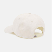 DICKIES - HARDWICK CAP - Whitecap Gray