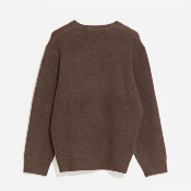 Misfit Shapes - Walking Wonders Knit Crew - Brown